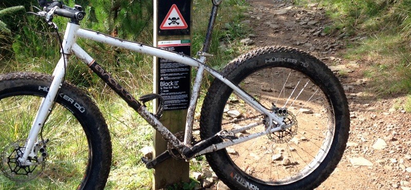 Singular Puffin – A&nbsp;Review