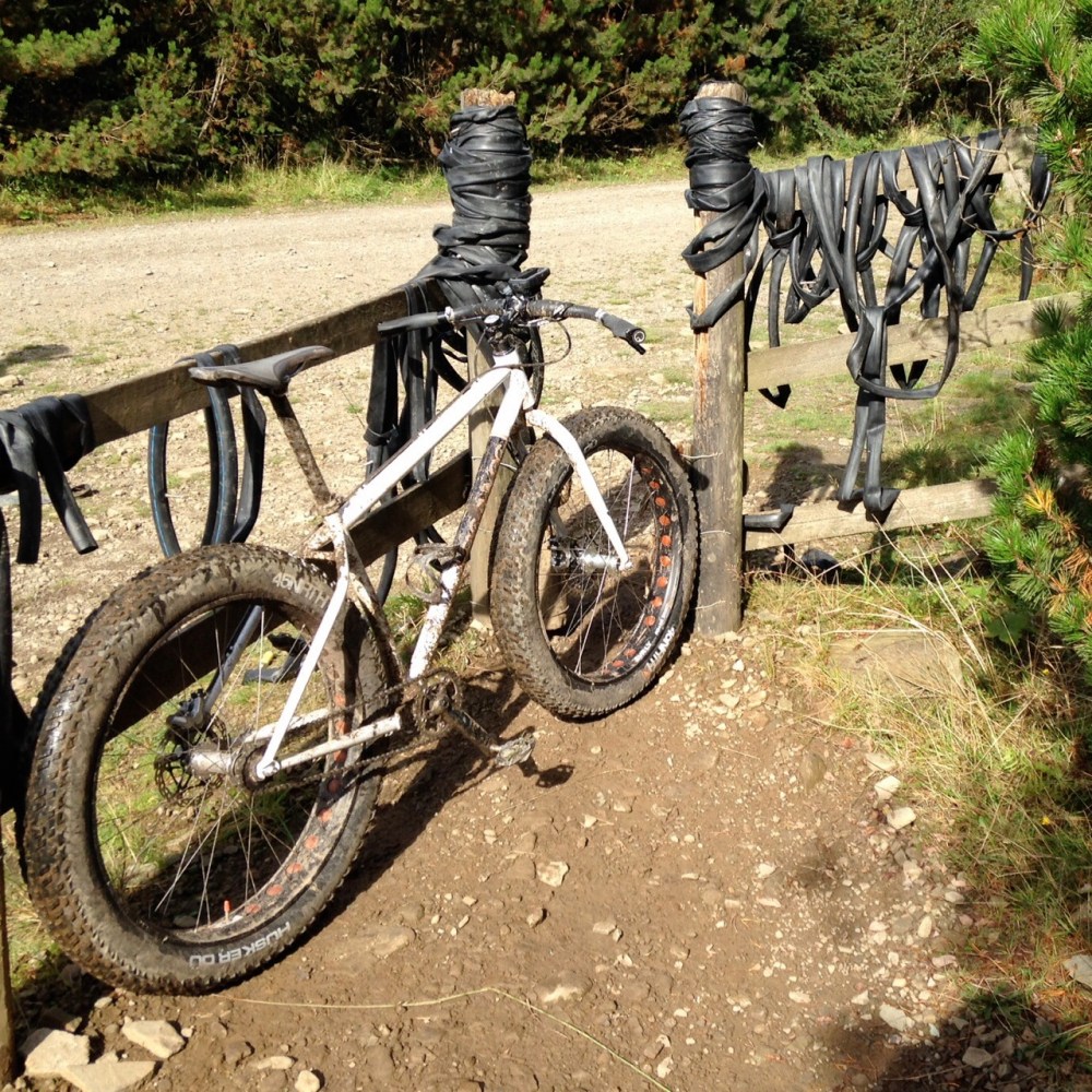 10143214303_bc54ae5c4a_o