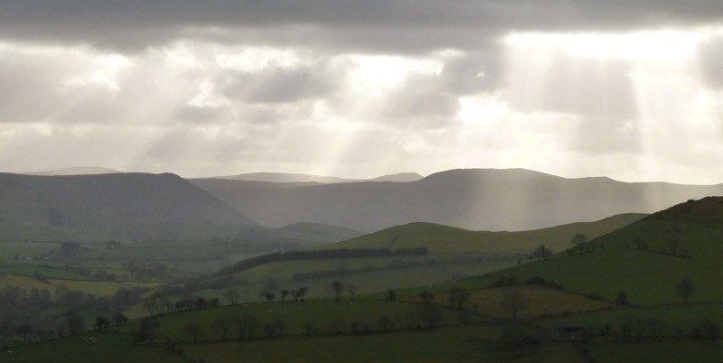 In Celebration of&nbsp;Fords