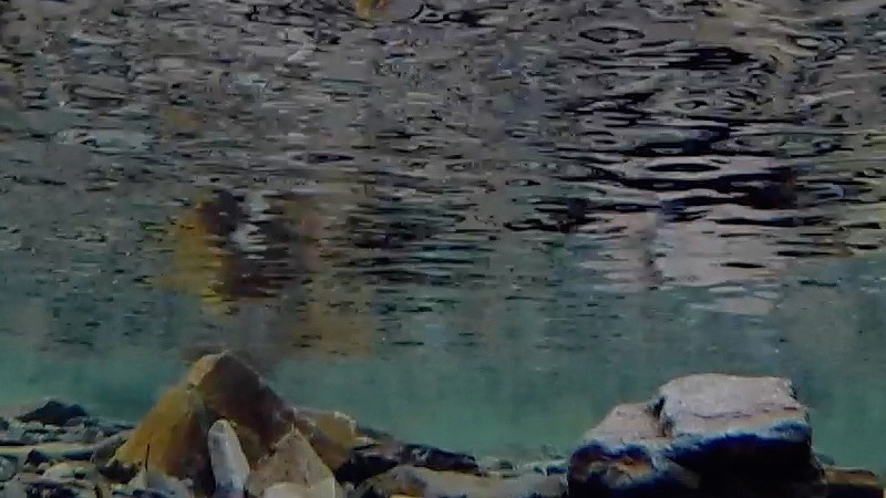 Welsh Ride Thing&nbsp;2015